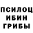 Псилоцибиновые грибы мухоморы nino niniko