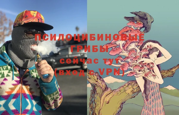 ECSTASY Киреевск