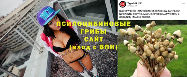ECSTASY Киреевск