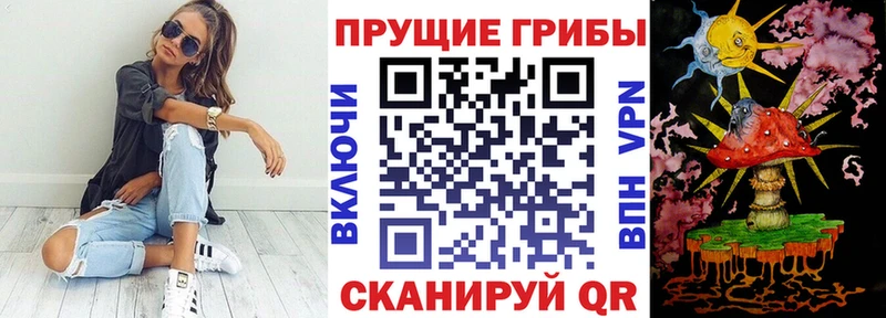 Псилоцибиновые грибы ЛСД  Купить  Тобольск 